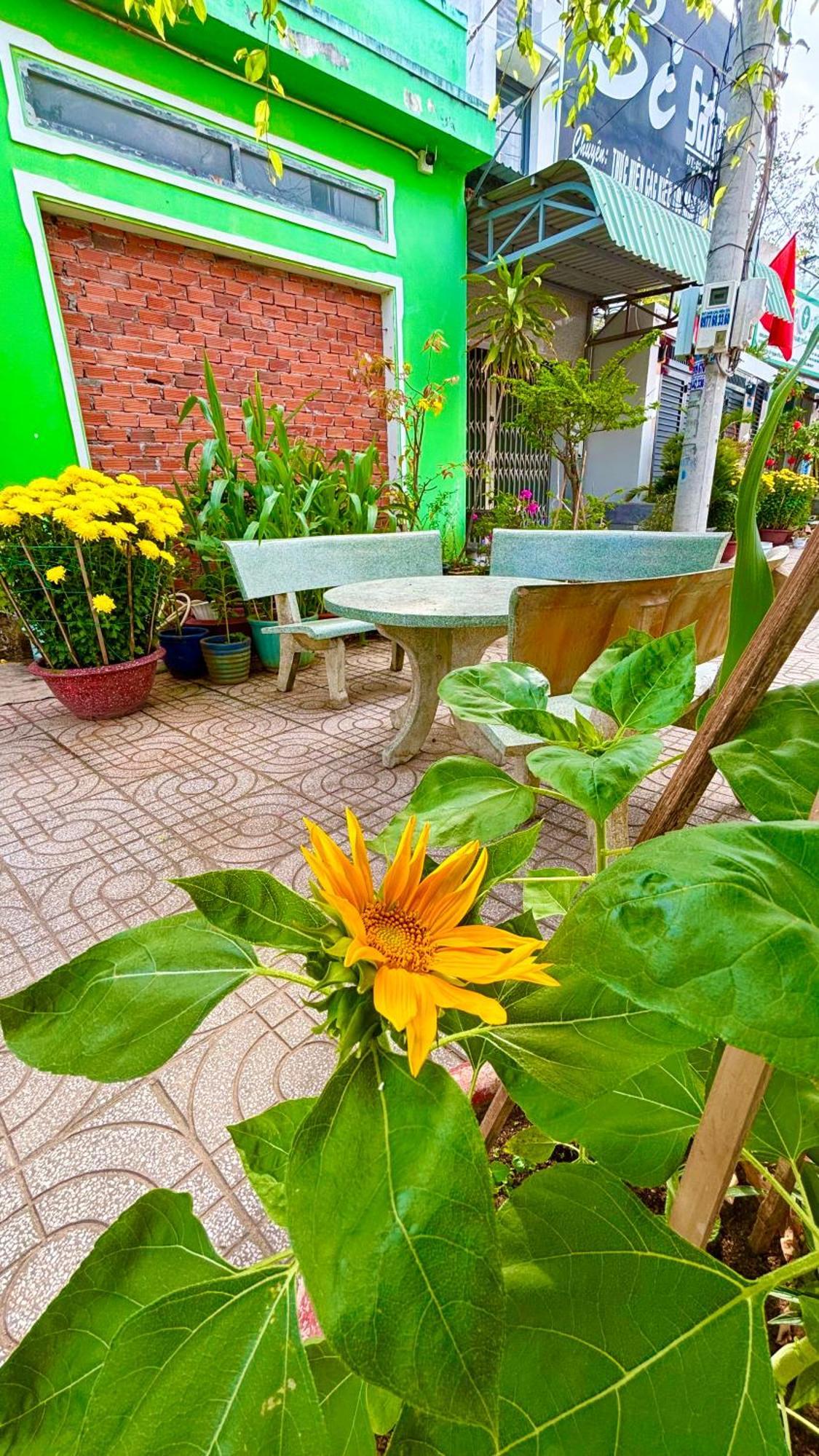 Thuy Hang Motel Long Hải Exteriér fotografie